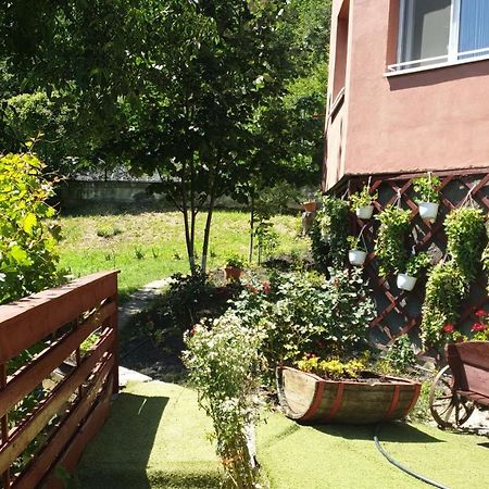 Casa Lorena Sărata-Monteoru Εξωτερικό φωτογραφία