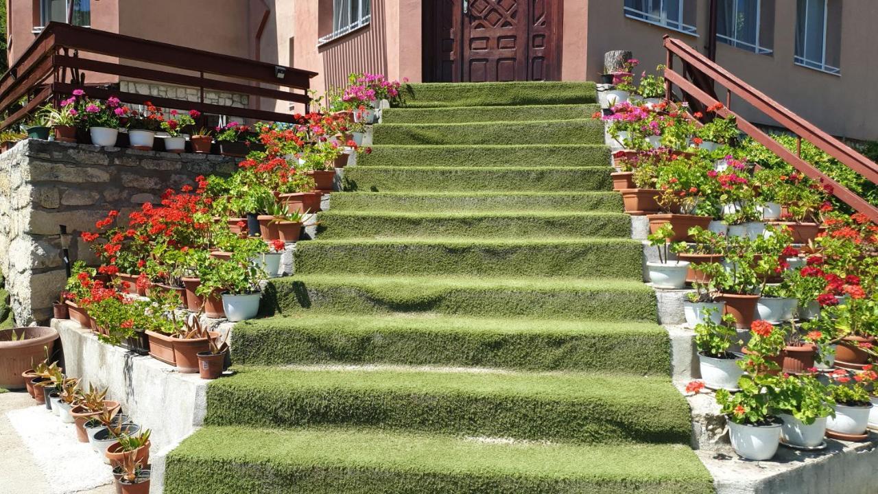 Casa Lorena Sărata-Monteoru Εξωτερικό φωτογραφία