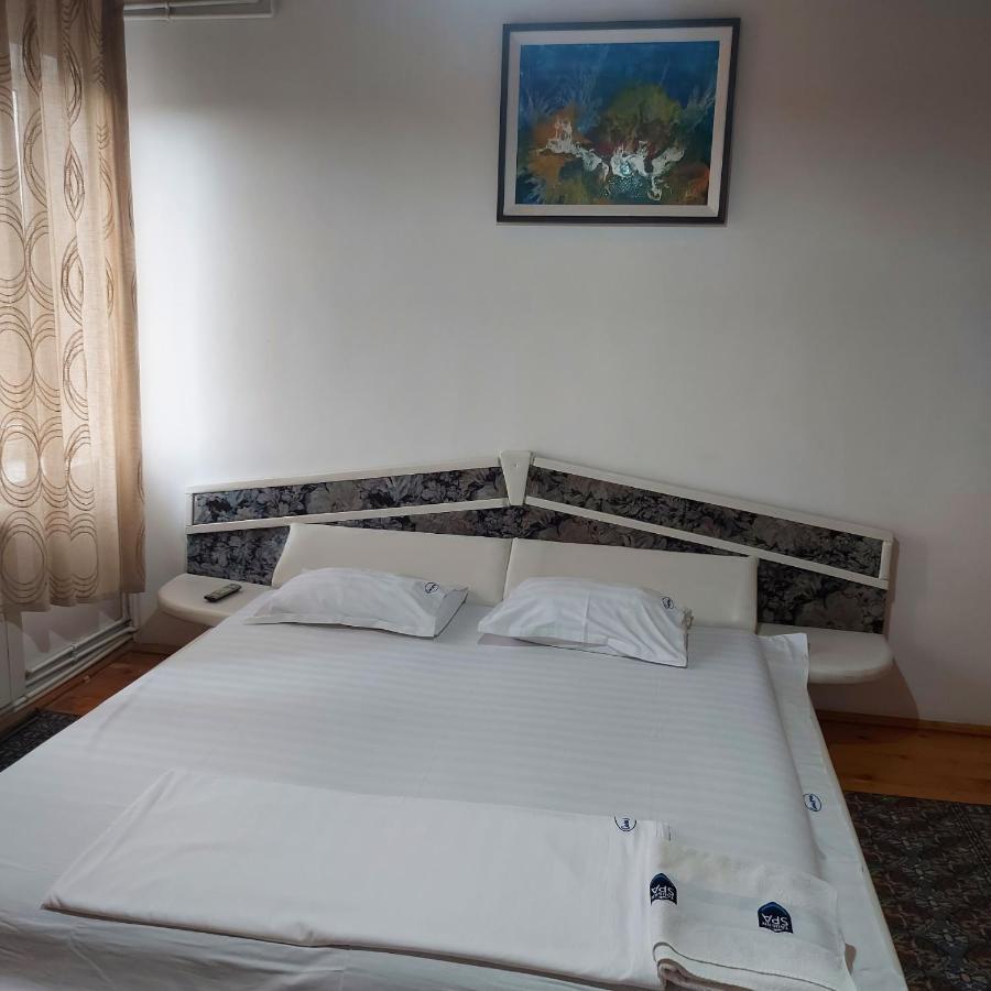 Casa Lorena Sărata-Monteoru Εξωτερικό φωτογραφία