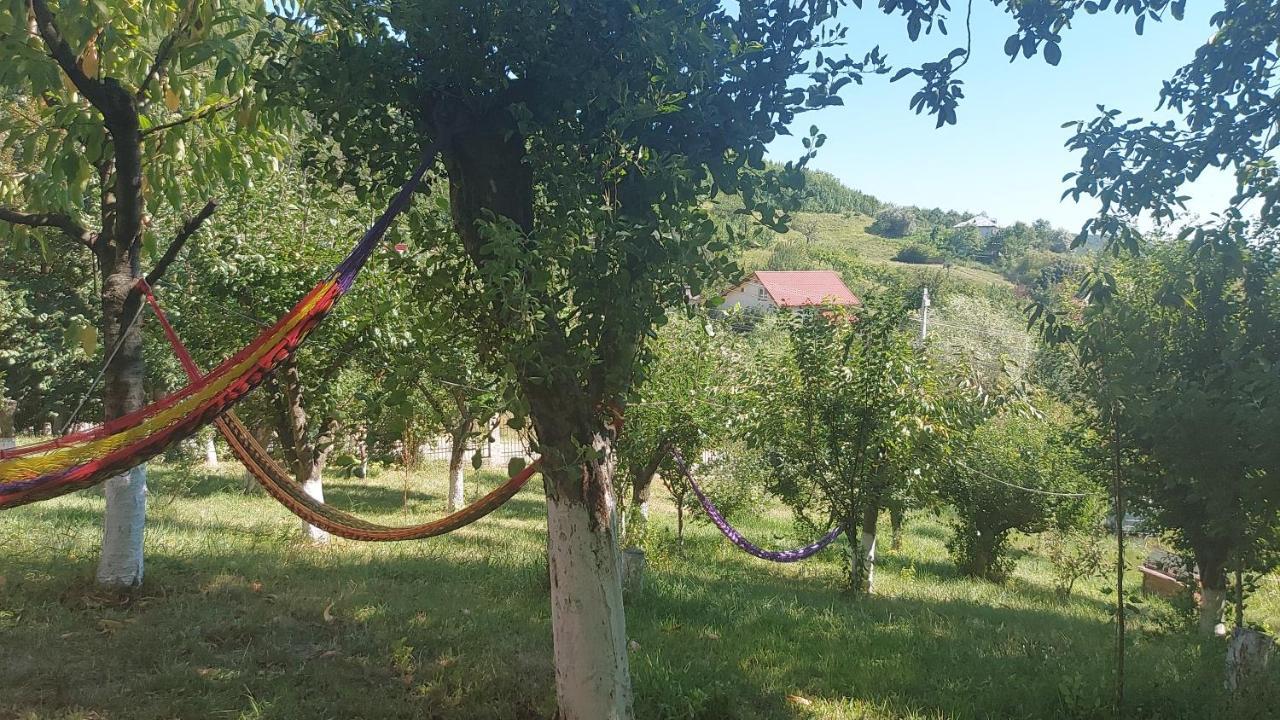 Casa Lorena Sărata-Monteoru Εξωτερικό φωτογραφία