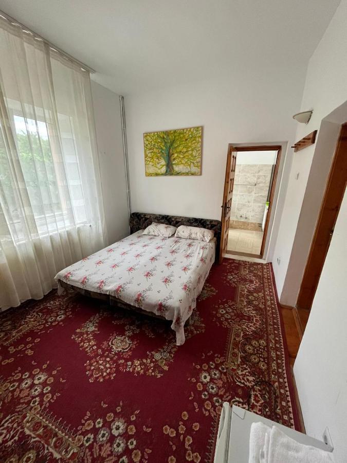 Casa Lorena Sărata-Monteoru Εξωτερικό φωτογραφία